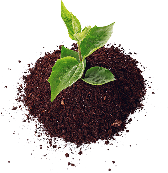 Điền Nông Việt